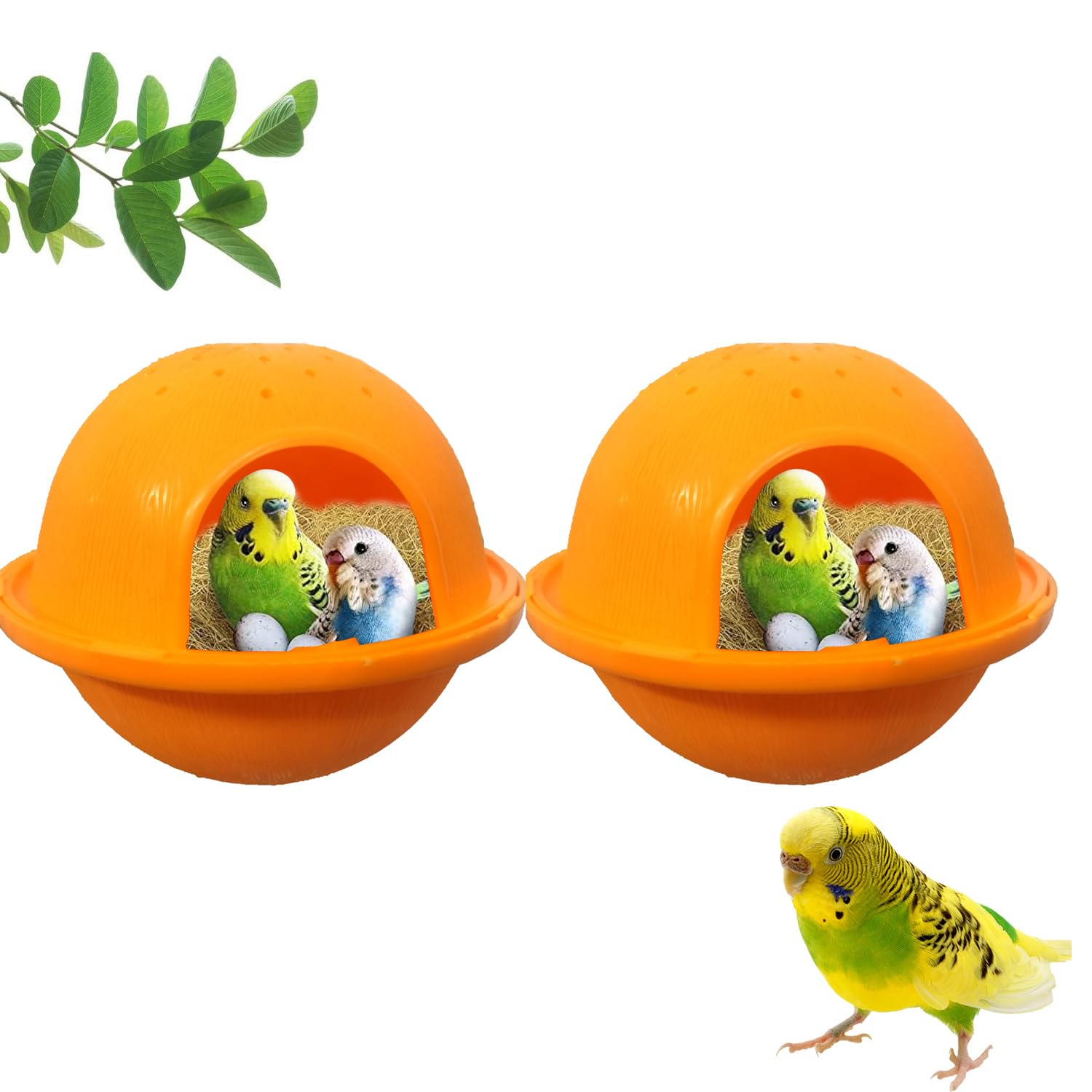 Jainsons Pet Products Small Bird Breeding Nest Box (10x12 Cm