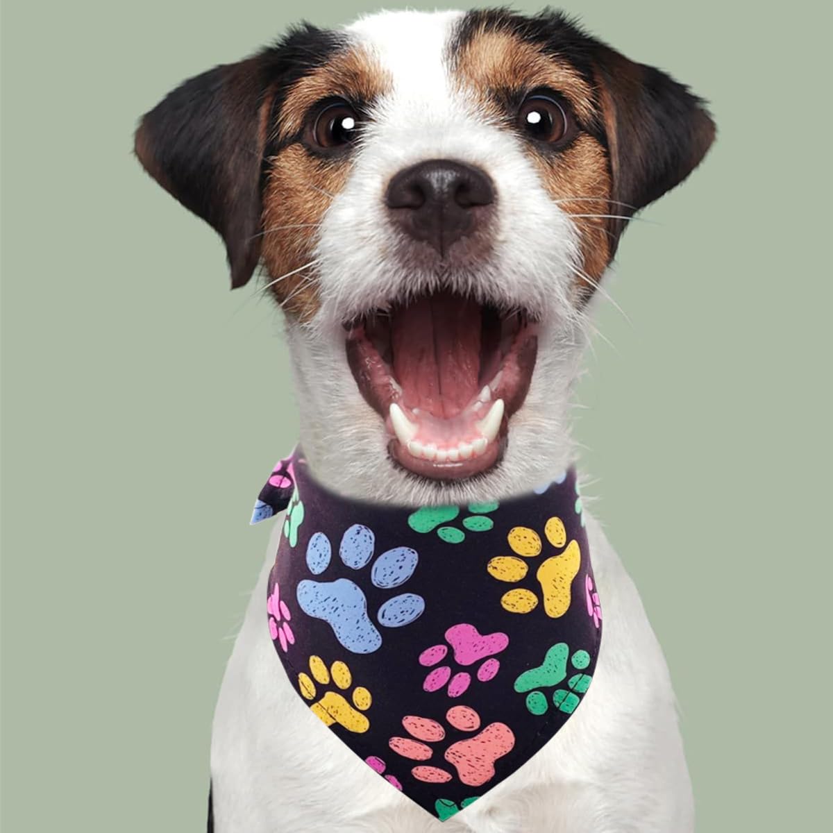 PET SHOW 50 Bandanas para Perros con patrón de Patas, Lavables a Granel, para Cachorros, niñas, niños, Baberos Triangulares, Accesorios para Perros pequeños y medianos, Gatos, Mascotas