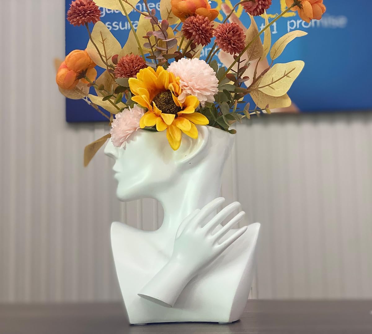 Face Planters Pots Head,Abstract Greek Bust Vase,White Face Vase for Decor,Female Bust Planter for Home,Office,Shlef Decor (White)