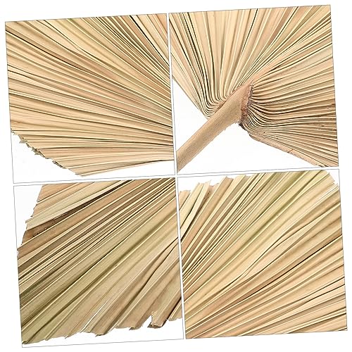 Palmier séché pour vase : décoration durable sans entretien - 6