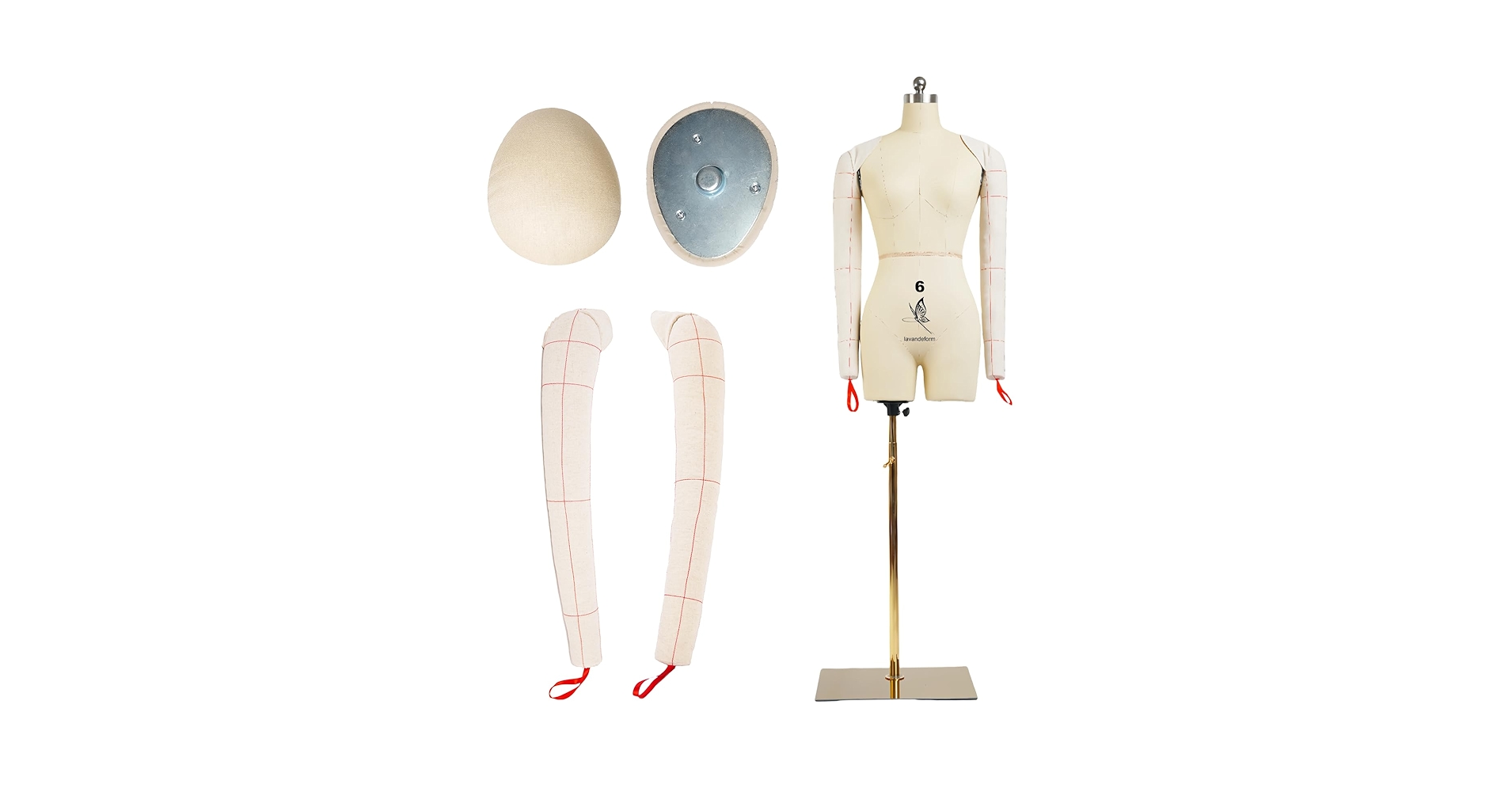 Amazon.com: lavandeform Female Dress Model Torso Body Clothing