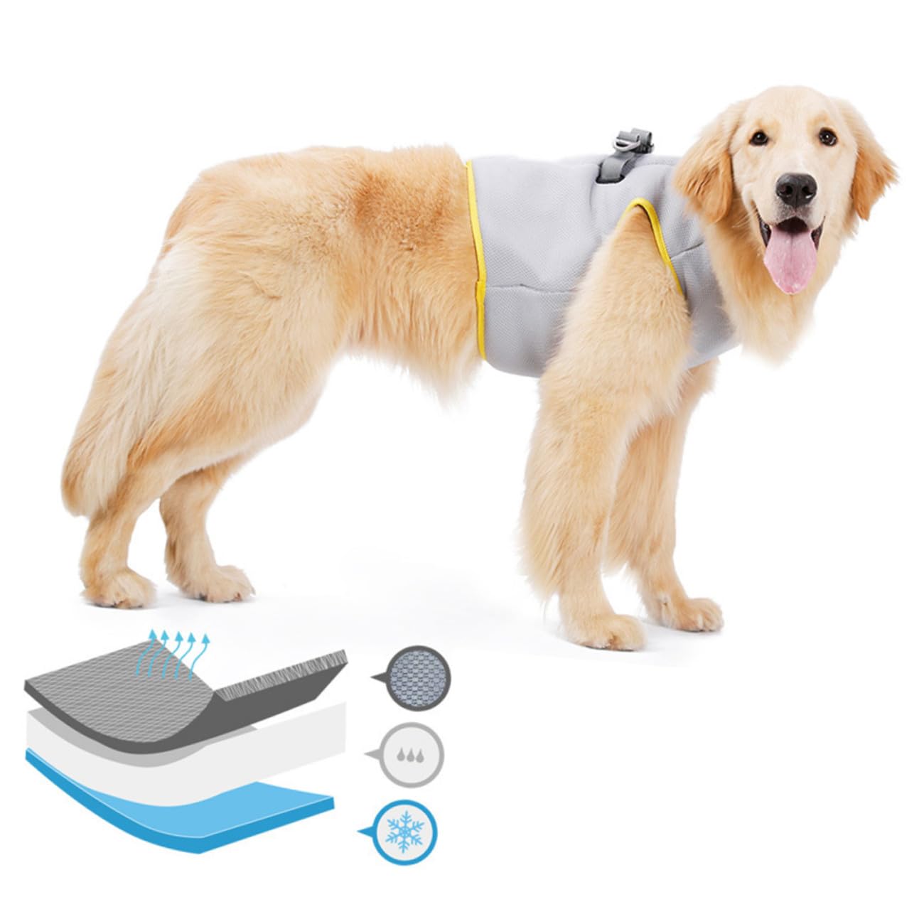Gilet Rafraîchissant pour Chien Respirant XL pour Activités Extérieures Poitrine Confort Optimal Et Système De Libération Rapide