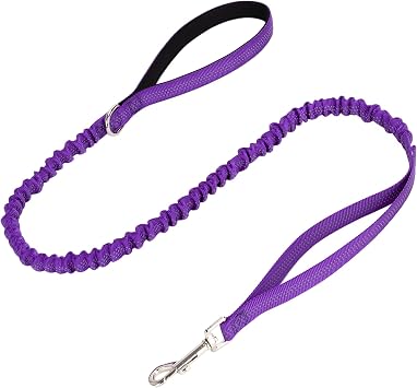 WYuZe 4FT Bungee Dog Leash Shock Absorbing Handle for Small Medium Dogs | Reflective Short Nylon Leash Stretch to 5.5ft Soft Padded Handle No Tangle for Anti-pull Walking Training 4FTx3/4", Purple