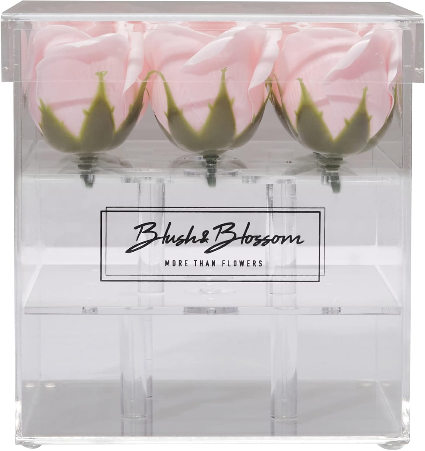 Blush & Blossom Rose Petals in Clear Box – 9 Piece Set – Blush