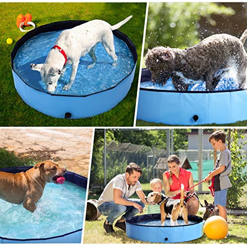 Foldable Kiddie Pool Hard Plastic Kids Pool, 31.4" X 12", Portable Pvc Dog Swimming Pool, Indoor & Outdoor Collapsible Pet Pool Bath Tub For Dogs, Cats And Kids - Medium & Blue #TOP6