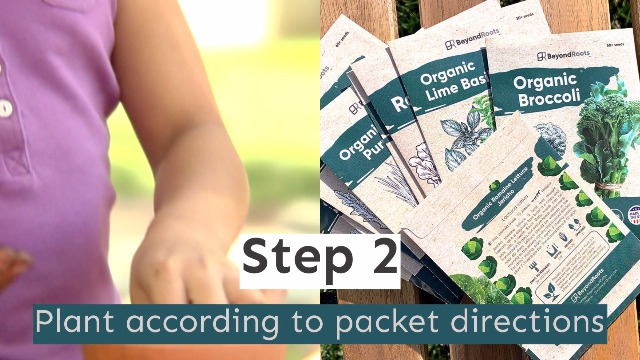 100-Edible-Flower-Seeds-for-Planting-Certified-Organic-Seeds-9-Flower-Garden-Non-GMO-Plant-Seed-Packets-Plant-Markers-Lavender-Echinacea-Calendula-Borage-Wildflower-Chamomile-Thai-Basil 100-Edible-Flower-Seeds-for-Planting-Certified-Organic-Seeds-9-Flower-Garden-Non-GMO-Plant-Seed-Packets-Plant-Markers-Lavender-Echinacea-Calendula-Borage-Wildflower-Chamomile-Thai-Basil