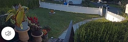 Review Image by susanne susanne