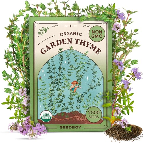 Organic Thyme Seeds for Planting Indoor and Outdoor, Non-GMO and ...