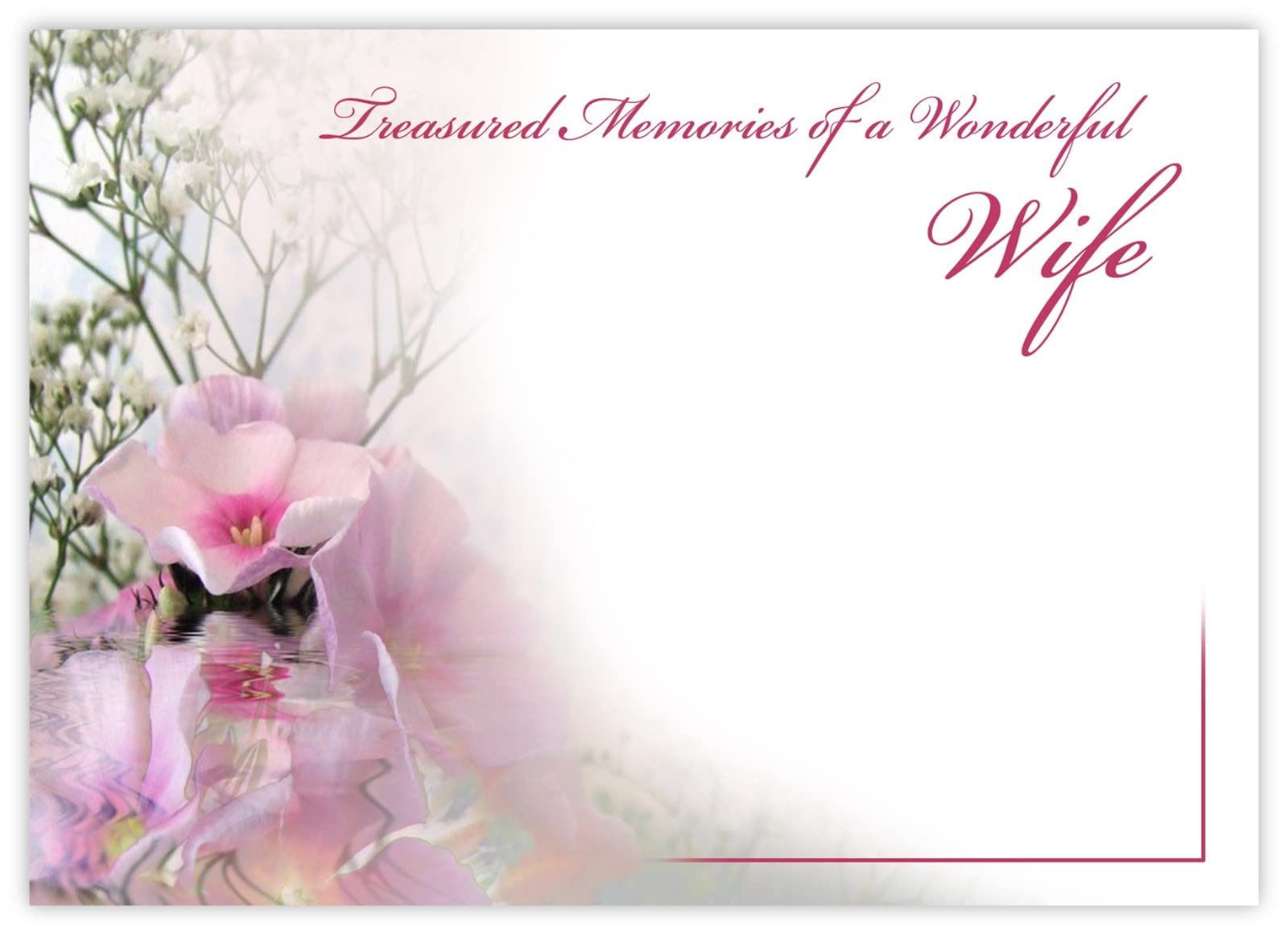celloexpress Treasured Memories Wife (Phlox Reflection) Flower Message Cards - 90mm x 125mm - Bereavement Florist Card Sympathy Condolences Notes (Pack of 12)