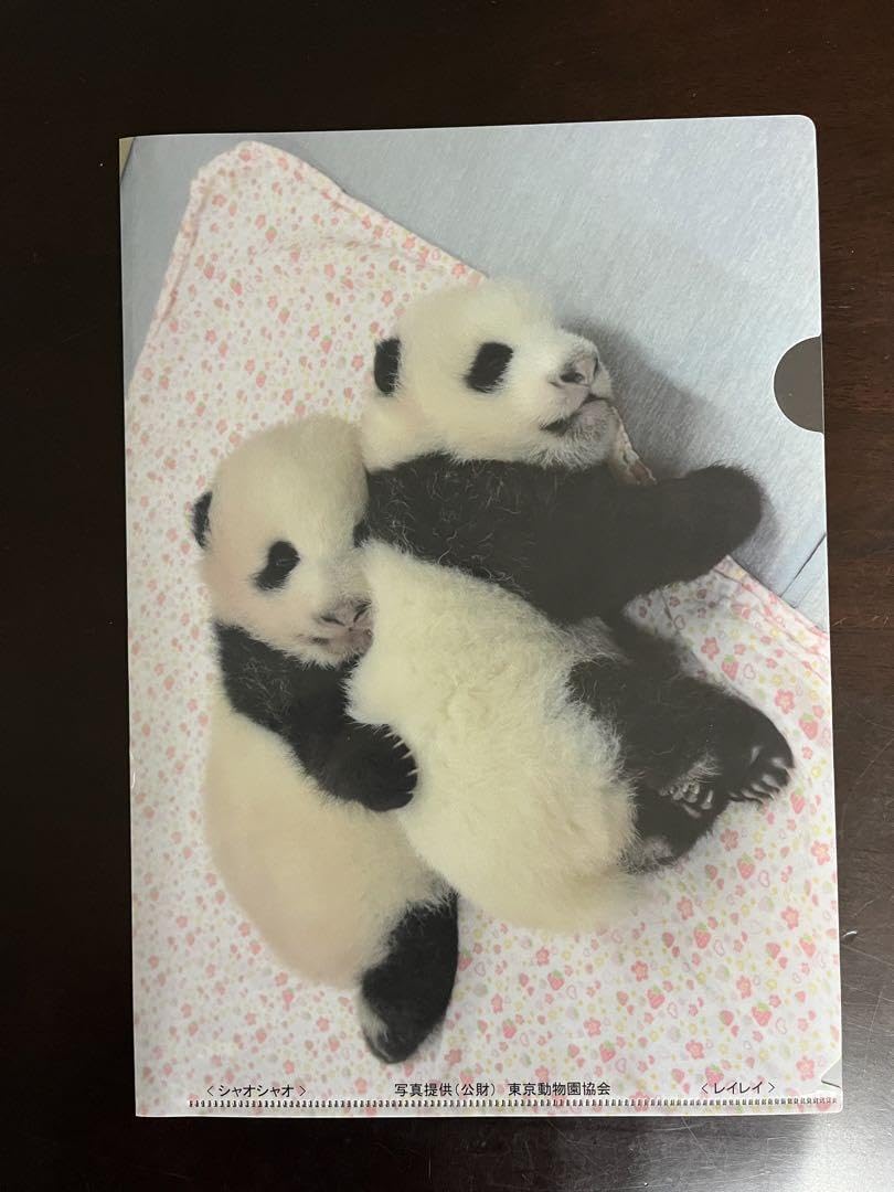 Amazon.co.jp: 上野動物園 パンダ クリアファイル シャオシャオ