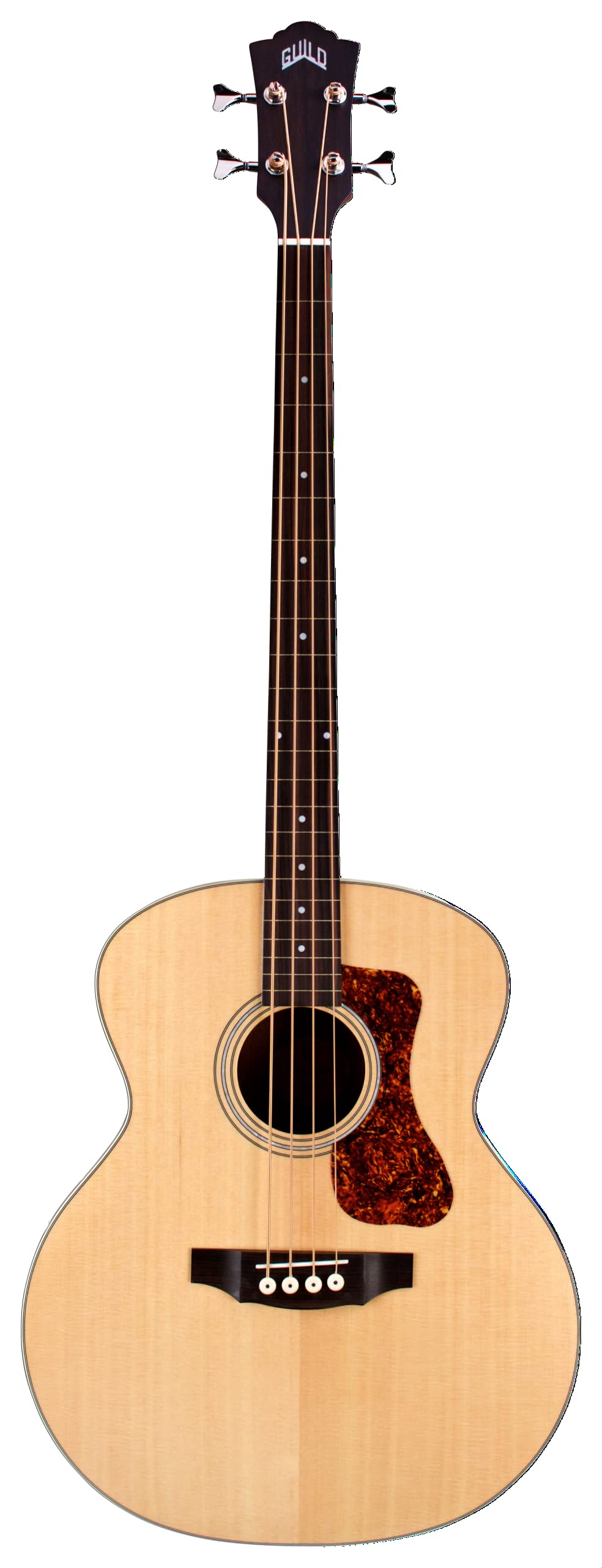 Amazon.com: Guild Guitars B-240E Fretless Acoustic Basses