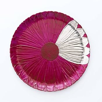 アリタポーセリンラボ　プレート　マーガレット　1枚 Amazon.co.jp: 有田焼 アリタポーセリンラボ マーガレット 大皿