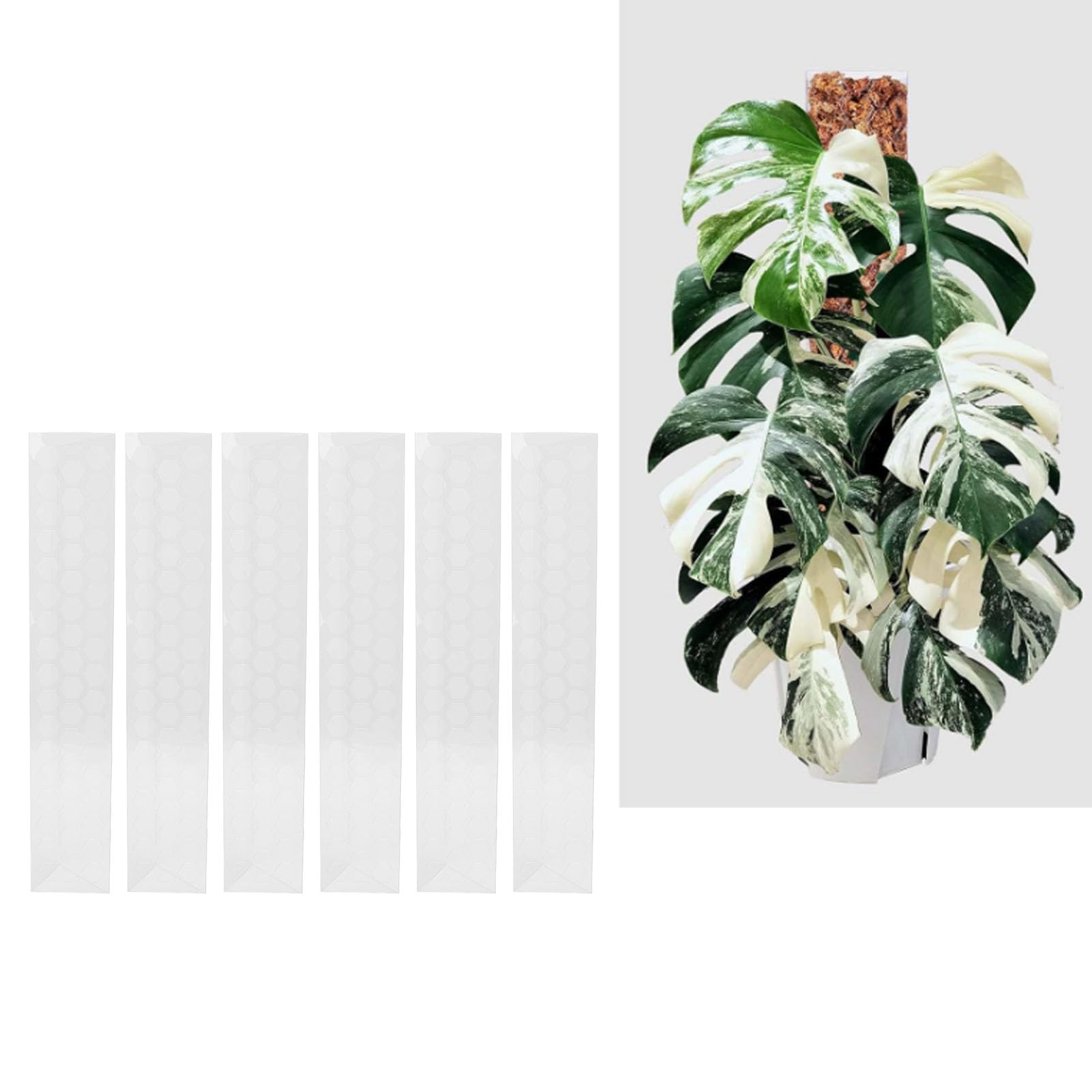 Lot de 4 bâtons de mousse en plastique empilables pour Monstera et plantes grimpantes, idéal pour les amateurs de jardinage d'intérieur et d'extérieur (43,2 cm)