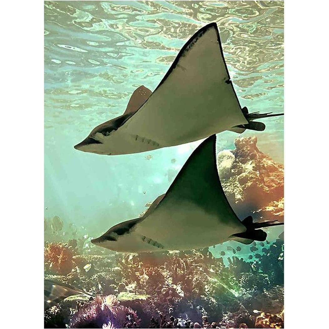 YSCOLOR 5D Diy Diamond Painting Kit Ocean Stingray Full Round Mosaic Painting Kit Gift Home Decor 30x40cm