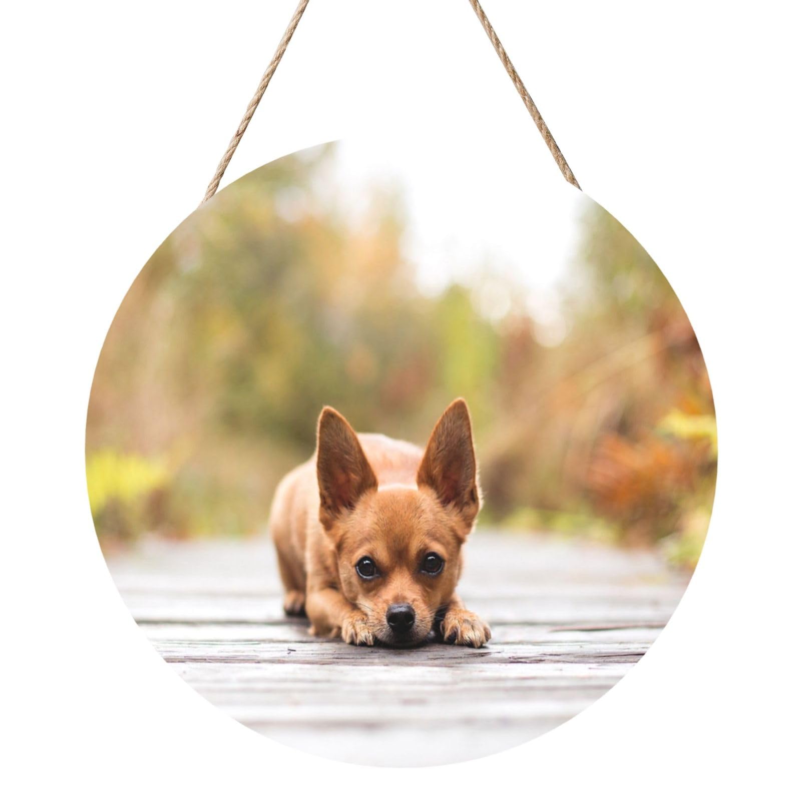 InOmak Chihuahua Dog, Round Wood Panel Painting 12 in, Wall Hanging Painting For Home
