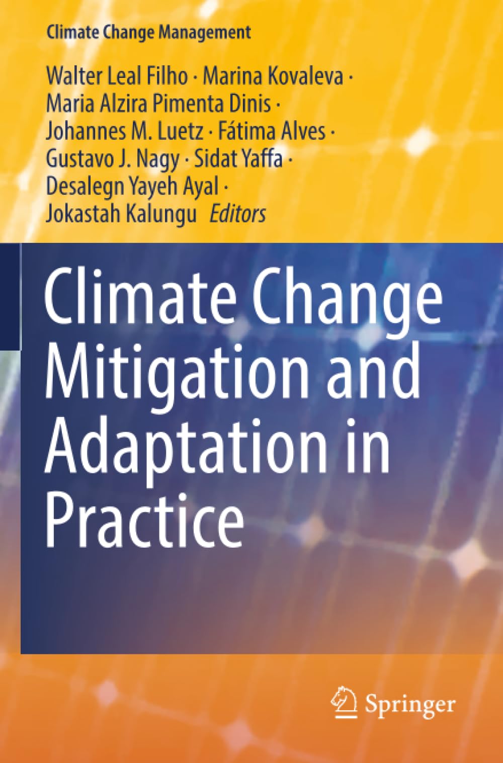 Climate Change Mitigation and Adaptation in Practice (Climate Change Management)