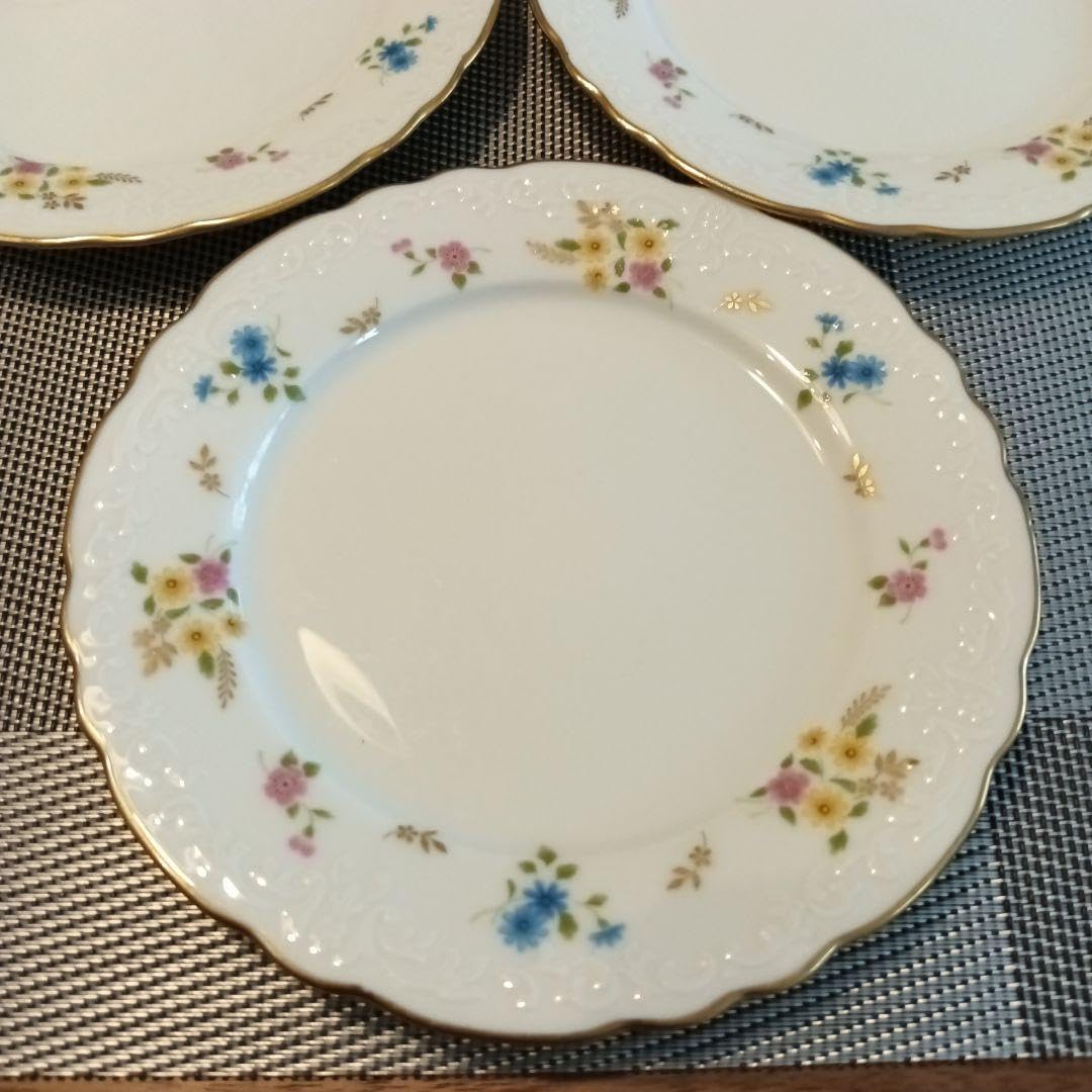 Home Tropical 12 Piece 9 Inch Melamine Dessert Plate Set in Blue