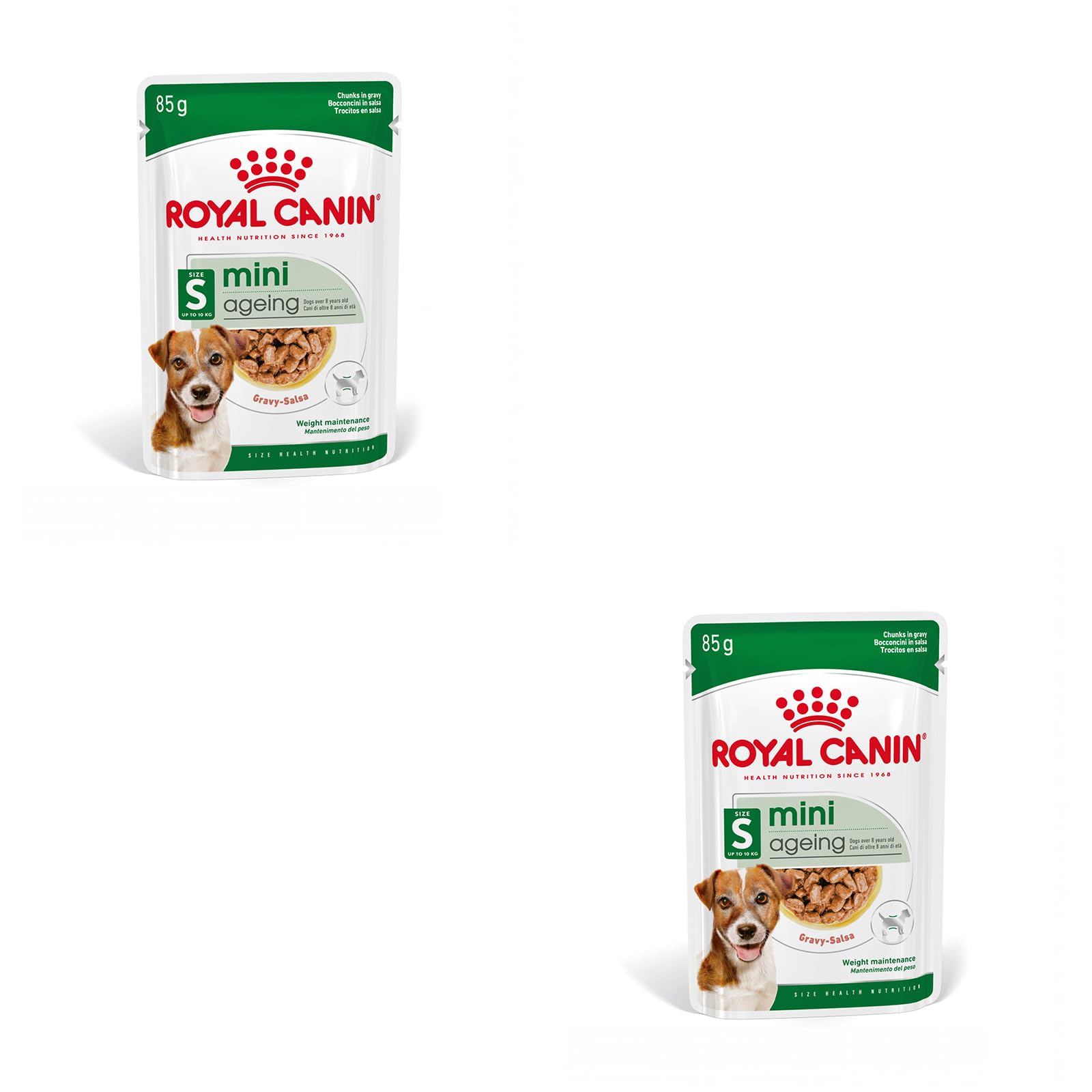 Royal Canin Mini Ageing 12+ | Paquete Doble | 2 x 12 x 85 g | Alimento Completo para Perros Mayores de Razas pequeñas | Puede Ayudar a apoyar la Salud renal de los Perros | En Salsa