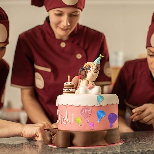 Miniatura 7 de Meiyouju - 2 moldes para fondant de globo de aire caliente, molde de silicona para globos de aire de 4 cavidades, molde de globo de aire de 2