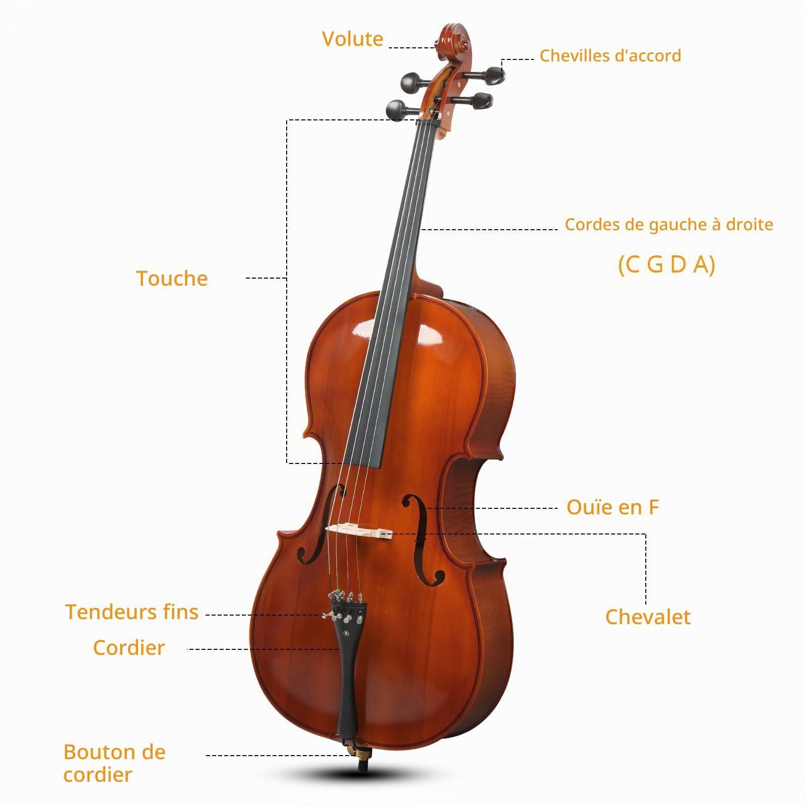 Bonnlo Violoncelle 4/4, Ensemble Complet avec Etui, Archet, Resine, Cordes et Colophane, Idéal pour Débutants et Joueurs Intermédiaires