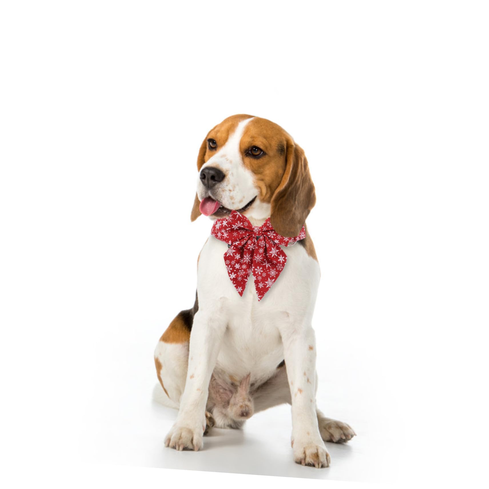 Collier Réglable pour Chaton avec Boucle pour Chat Accessoire De Noël pour Chien Et Animal De Compagnie