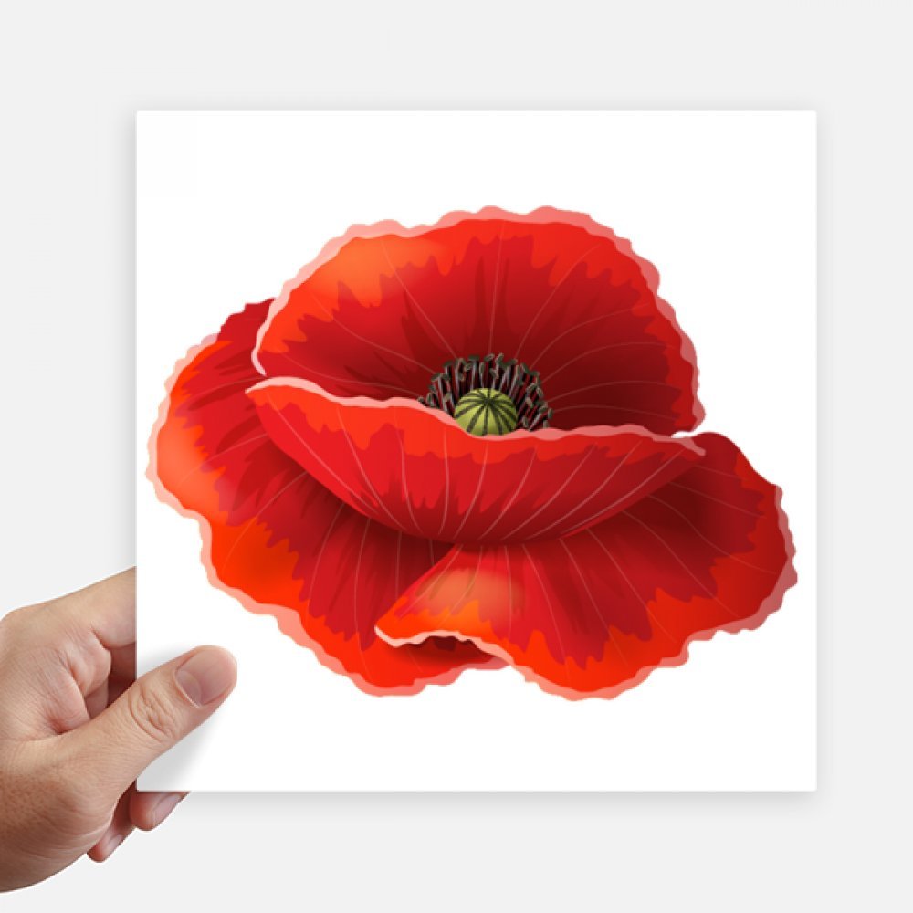 Decal peinture rouge fleur pavot autocollant 20 cm de décoration multicolore