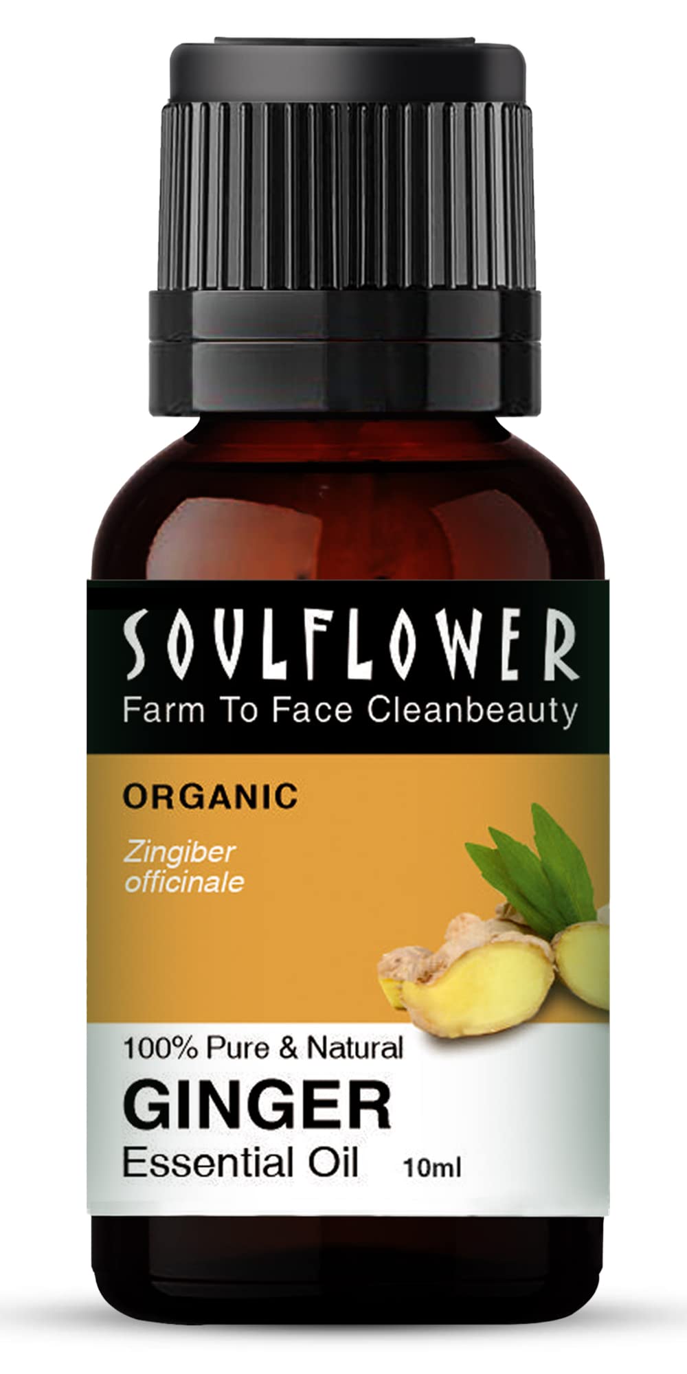 Soulflower Ginger Essential Oil for Hair Growth, Skin Care, Aromatherapy, Relax Muscle |100% Pure, Natural, Undiluted, Premimum, 10ml (B0CMM12XG8) Amazon Price History, Amazon Price Tracker