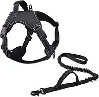 Coleira Peitoral Power + Guia Elástica Cachorro MADOG Tamanho:G;Cor:Preto
