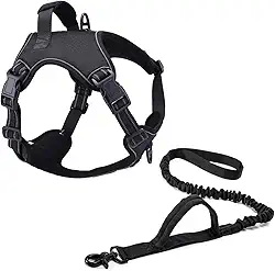 Coleira Peitoral Power + Guia Elástica Cachorro MADOG Tamanho:G;Cor:Preto