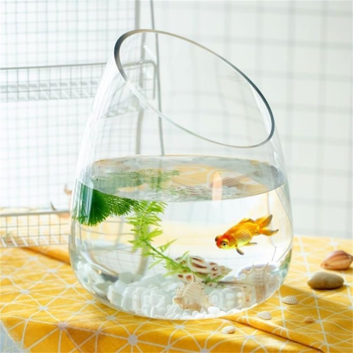 Amazon.co.jp: 金魚鉢 金魚水槽 ガラス花瓶 メダカ水槽 MumuElf 水培