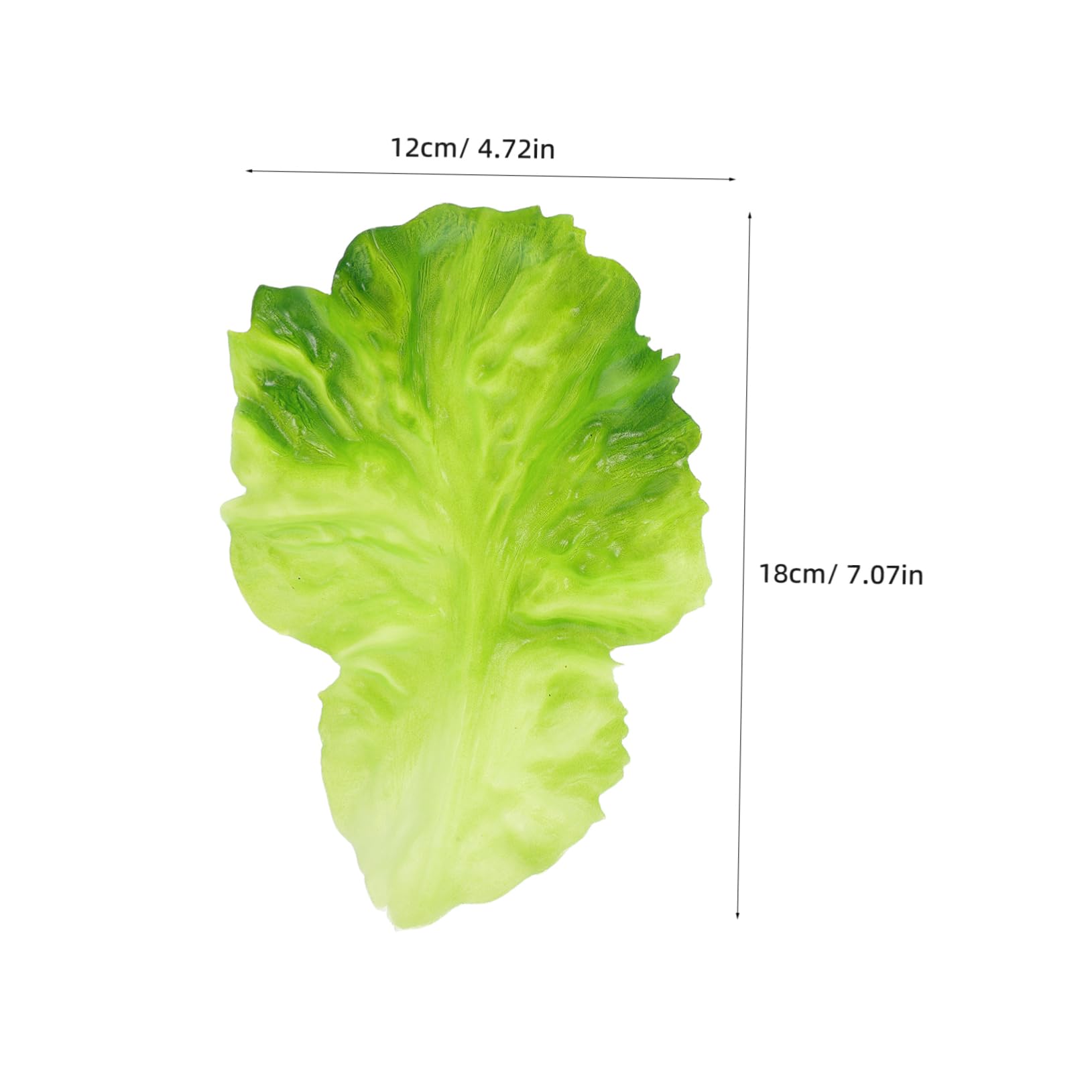 Ciieeo 4pcs Realistic Fake Lettuce Leaf Models Artificial Vegetables for Home Kitchen Decoration Photography Props and Creative Displays Lightweight Faux Lettuce for Restaurant Decor