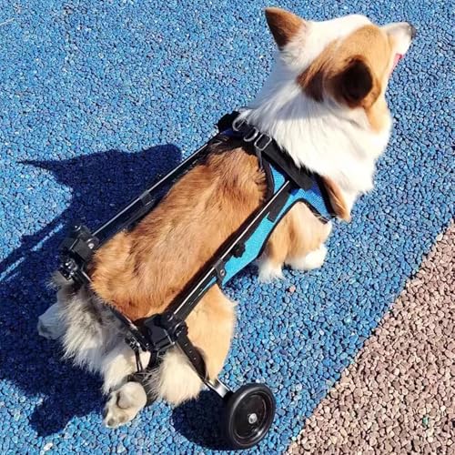 Fauteuil roulant réglable pour chiens handicapés XS arrière