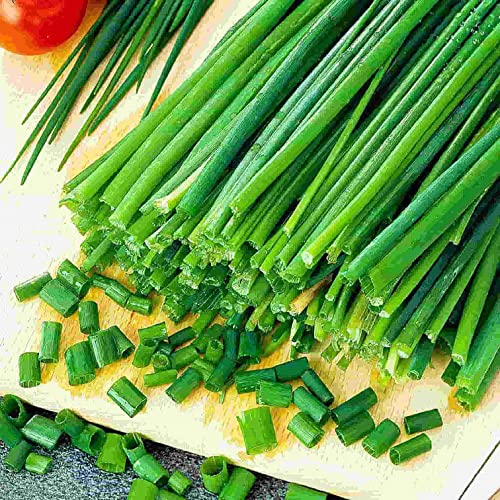 Garlic Chive Seeds, Herb, Heirloom, Non Gmo,100 Seeds, Great Fresh Or Dried Herb #TOP10
