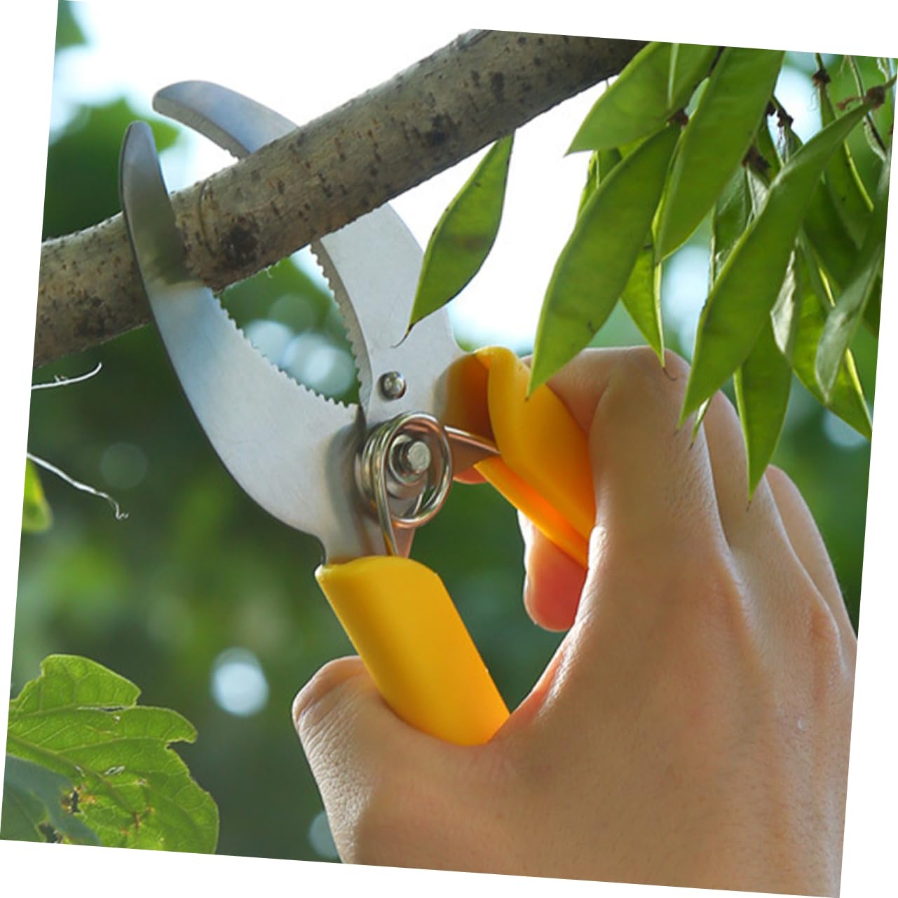 TOYANDONA 3 Ensembles Cisailles À Ceinturer Taille Outil De Jardinage À Main Outil À Main De Plantation Outils À Main Du Jardin Sécateurs À Main De Jardin Plastique 2 Pièces * 3