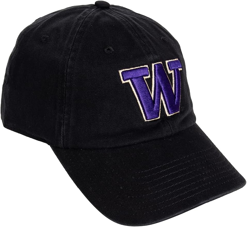 Desert Cactus University of Washington Baseball Hat UW Huskies Husky Brimmed Embroidered Cap Adjustable Cloth Strap Adult