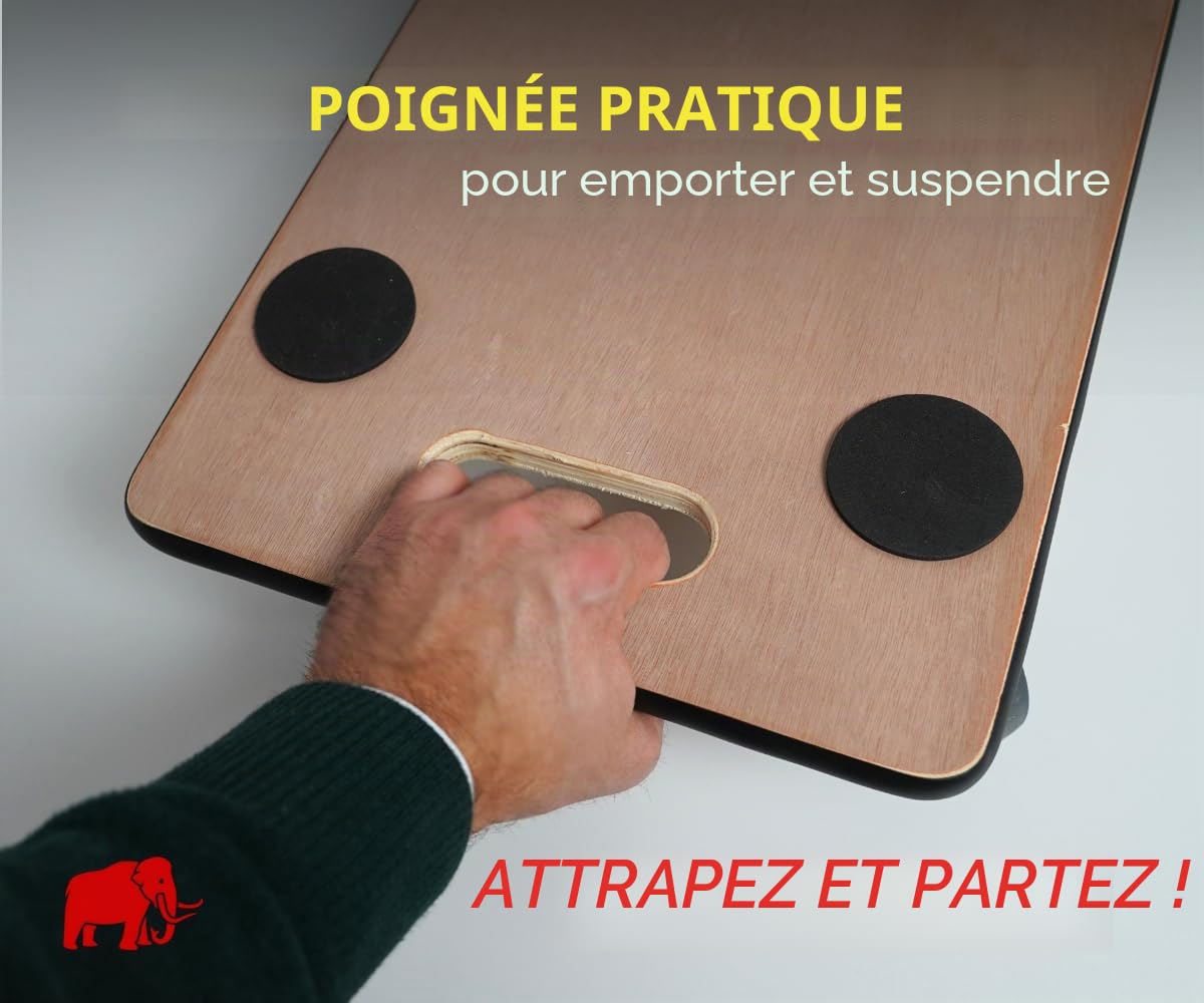 PROREGAL Profi Plateau Roulant Hercules Charge Lourde 30x60cm Capacité de Charge 200kg 4 roulettes en Caoutchouc & poignée Contreplaqué 2 pièces pour Meuble, Plante & demenagement