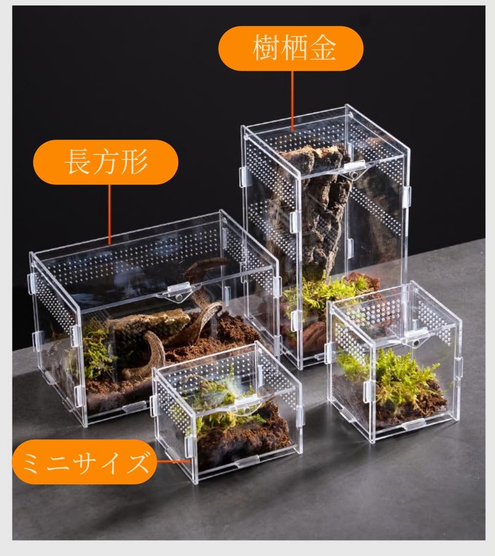 ポポのケージ爬虫類・両生類用飼育ケージ Amazon | 爬虫類 ケージ レプタイルボックス ケージ 爬虫類