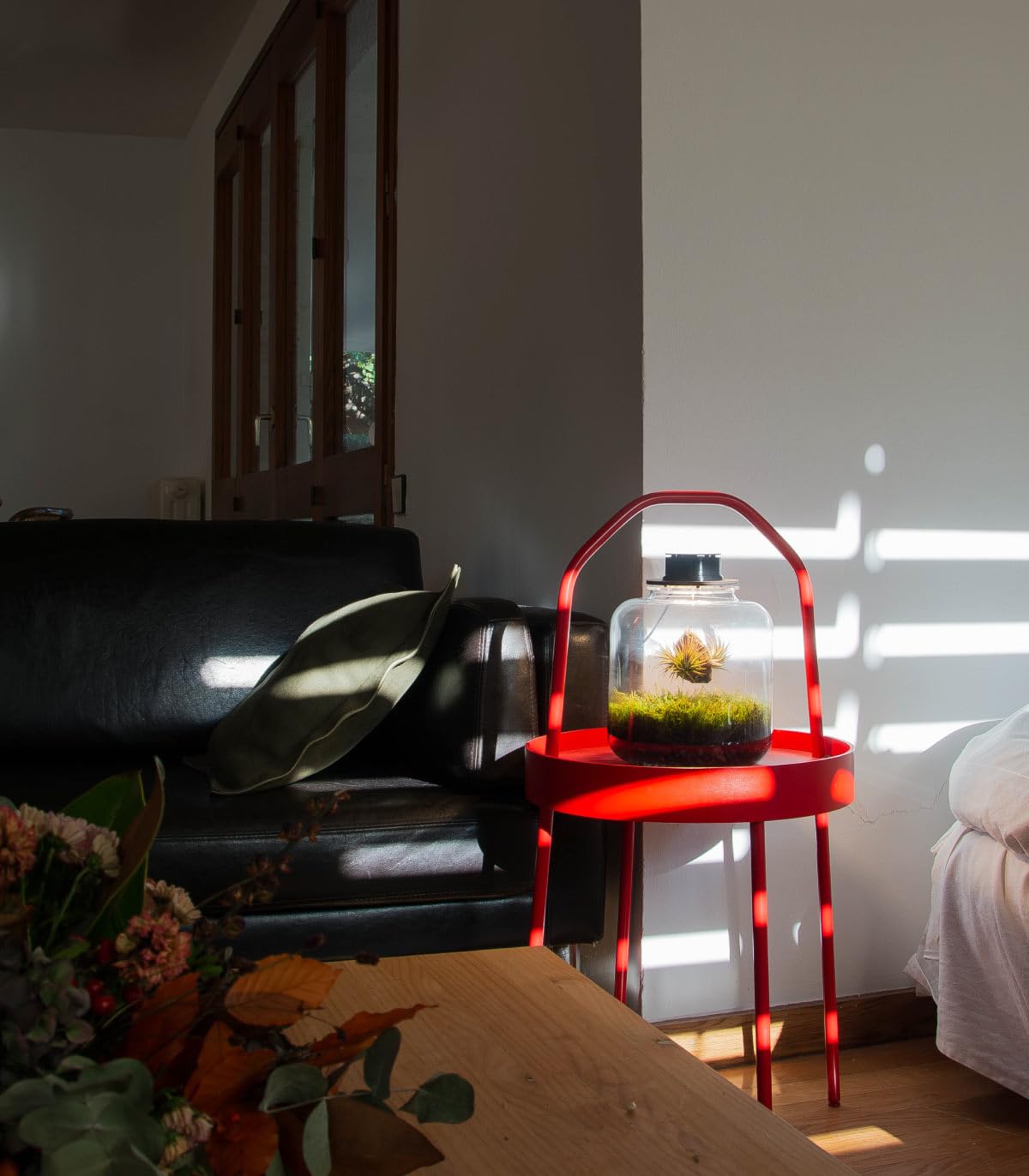 Jardin en Botella Terrario Plantas Vidrio Transparente Tapa con Foco LED | Kit Jardin en Botella Todo Incluido Plantas de Aire Naturales en Raiz de Olivo