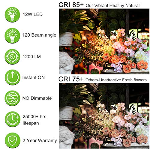 BR30 Led Flood Light Bulbs Indoor Outdoor, 12W=100W, 3000K Warm White, 1200 Lumens, E26 Base Recessed Can Light Bulbs, Not Dimmable, (4-Pack) - Image 3