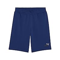 PUMA Ess 2 Colore No. 1 Logo Shorts 10" TR