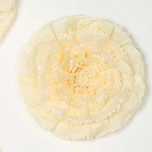 Miniatura 7 de Efavormart - Paquete de 6 flores de pared 3D de doble tono, color crema de clavelmarfil, flores gigantes de papel, 12 pulgadas, 16 pulgadas, 20