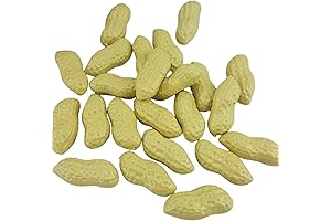 50pcs Artificial Peanuts Simulation Lifelike Fake Vegetables Food