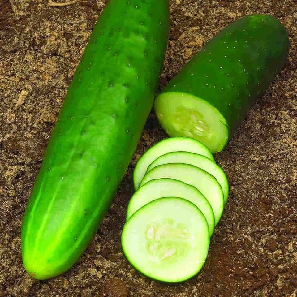 cucumber seeds for planting