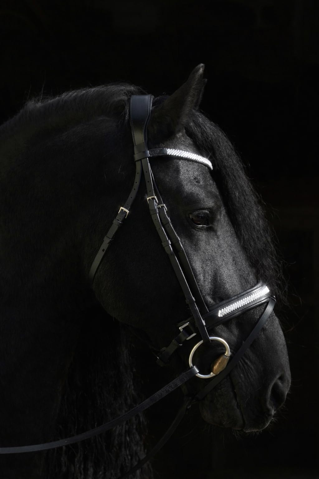 Tysons Breeches Trense Diamanti Super Strass Stirn und Nase Leder weich VB WB X - Full Schwarz Reitzaum Strass Glitzer Glitzertrense Ledertrense Zaum ergonomisch