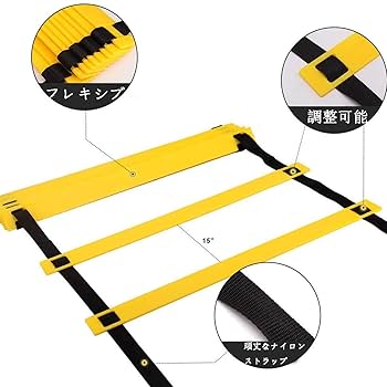 ラダートレー　21日終了 ラダートレー 21日終了 c0c3196f29e69b242bbc152e1efcc8