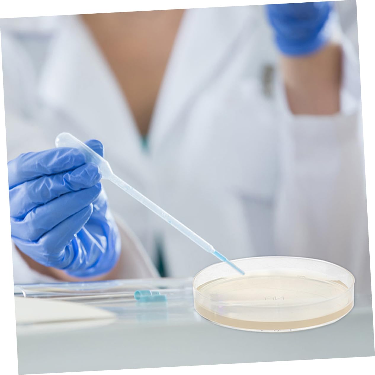 KICHOUSE 20 Pcs Nutrient Agar Plate Agar Science Kit Agar Plates Petri Dish with Lid Pre- Poured Growth Dishes Petri Dishes with Lids Agar Dish Lab Seeding Dishes