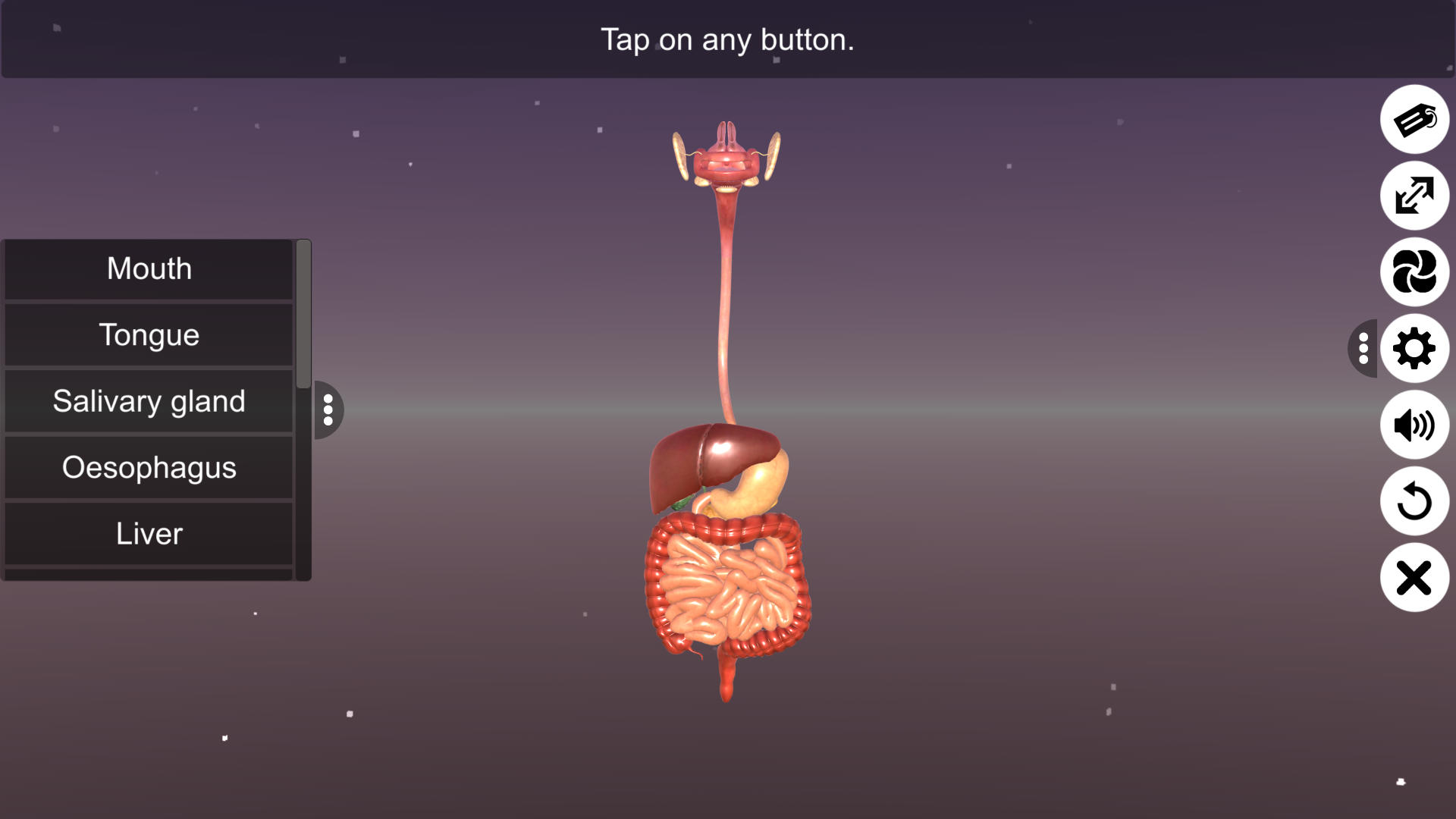 Human Digestive System - App on Amazon Appstore