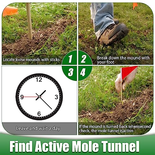 Mole Traps That Kill Best, Scissor Mole Traps for Lawns Vole Traps Outdoor Use, Mole Trap Easy to Set Galvanized Steel Reusable Quick Capture Gopher