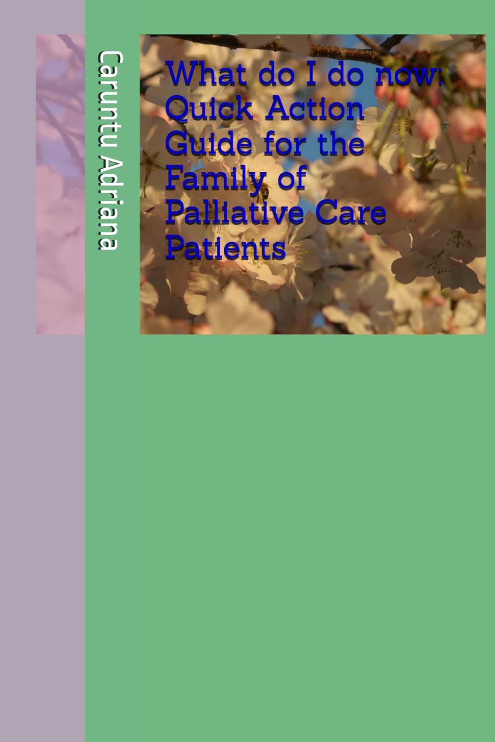 What do I do now: Quick Action Guide for the Family of Palliative Care Patients
