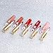 Coosa Glitter Shimmering Liquid Lipstick Set 10 Colors Shinning and Colorstay Lip Gloss (10 PCS-Set 1)